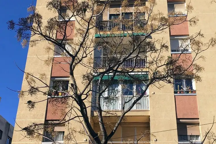 Dividir apartamento é uma das formas de alugar um imóvel na Espanha