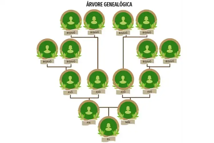 Árvore genealógica - bisavós