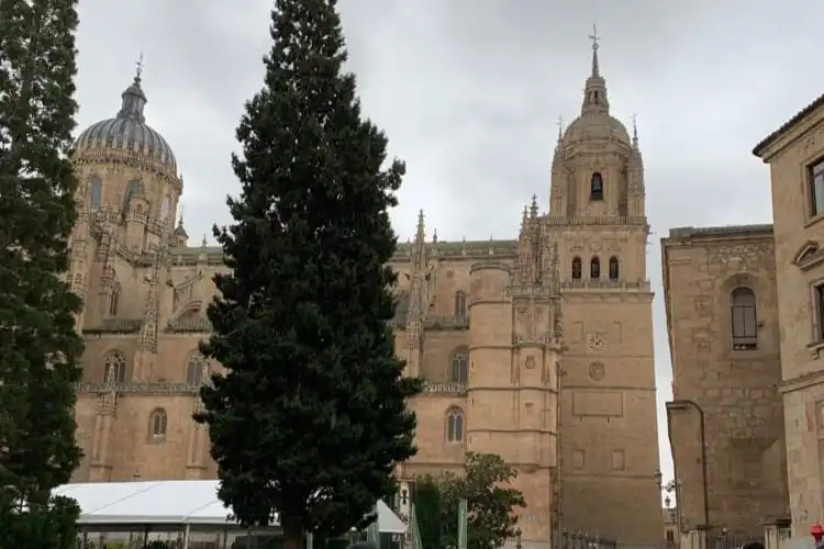Catedral de Salamanca vista de lado