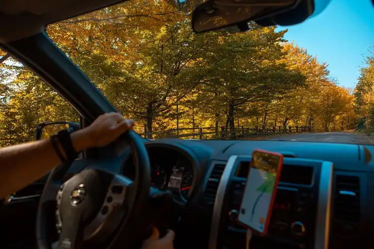 Foto de pessoa dirigindo durante o outono