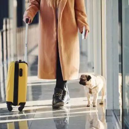Mulher no aeroporto com bagagem e cachorro
