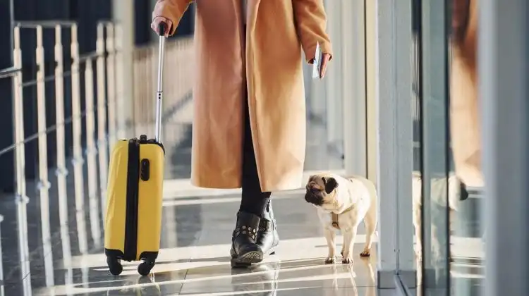 Mulher no aeroporto com bagagem e cachorro