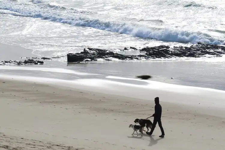 Homem passeando com o cachorro na praia em um dia de sol e pensando em quanto custa ter um pet na Inglaterra. 