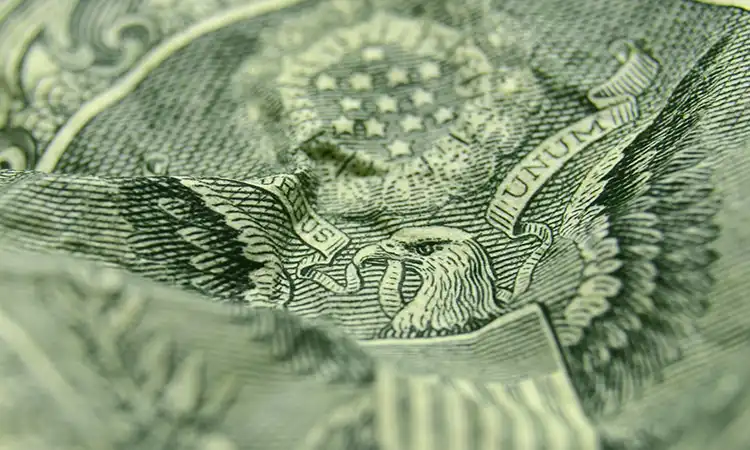Detalhe da nota de dólar