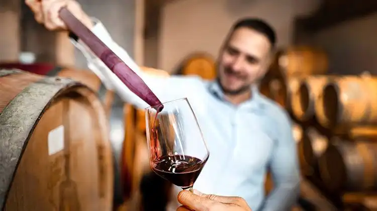 Itália perde posto de maior produtor de vinho para a França
