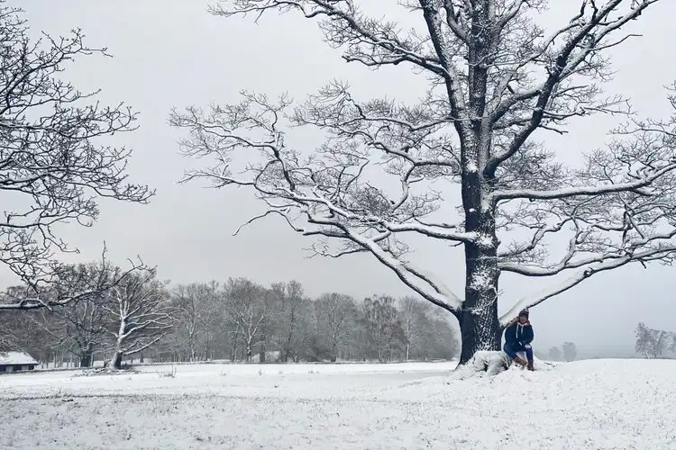 Mulher ao lado da árvore na neve
