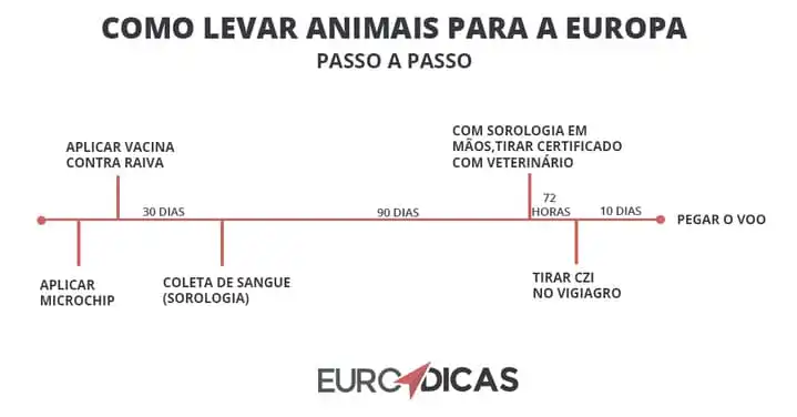 Linha do tempo para levar animal para Europa