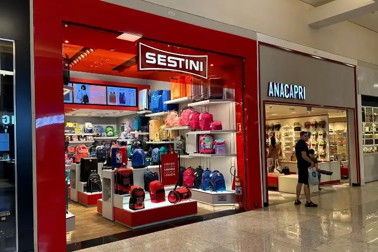 Mala Sestini é boa: confira se vale a pena investir - Euro Dicas