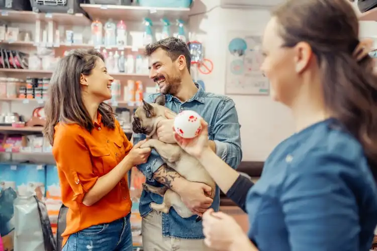 Pet shop é um dos três segmentos de negócios para empreender em Portugal.