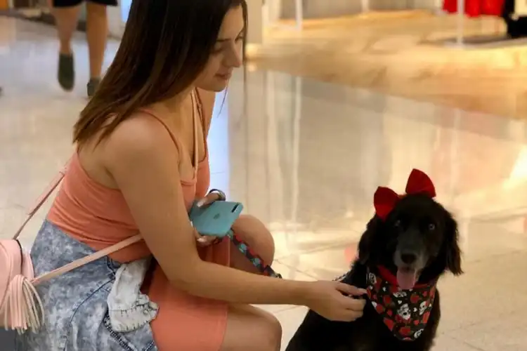 Tutora e cachorro no aeroporto