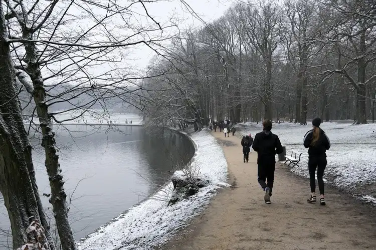 Parque de Bruxelas no inverno