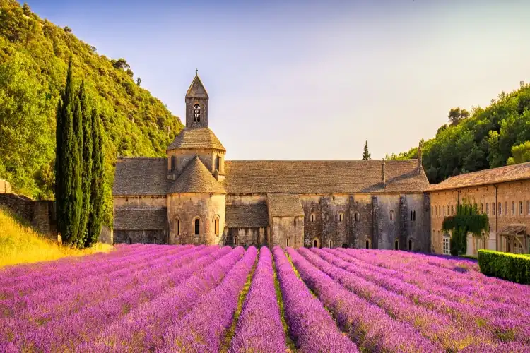 Provence França