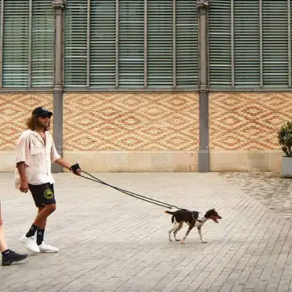 Casal passeando com cachorro em Barcelona depois de calcular quanto custa ter um pet na Espanha