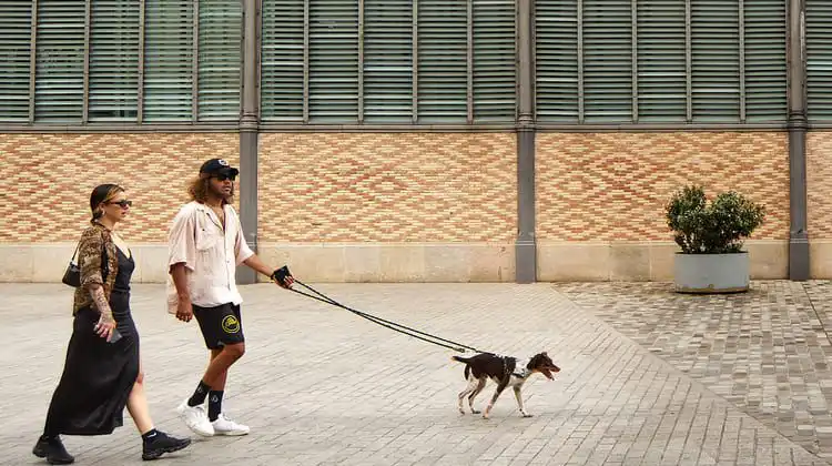 Casal passeando com cachorro em Barcelona depois de calcular quanto custa ter um pet na Espanha