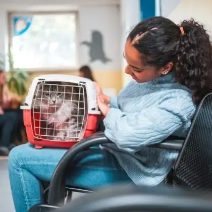 Mulher com gato para ser tratado em veterinário na França