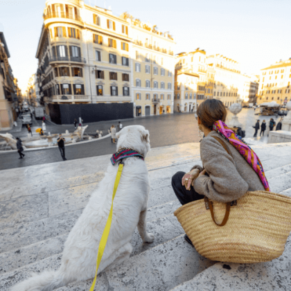 Os custos para ter um pet na Itália interferem no seu planejamento financeiro.