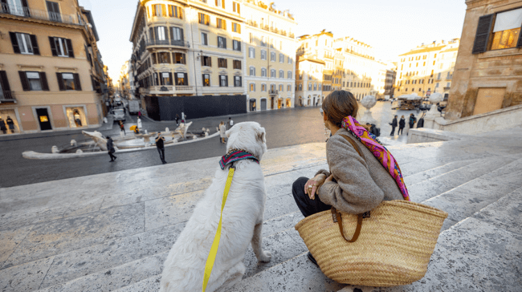 Os custos para ter um pet na Itália interferem no seu planejamento financeiro.