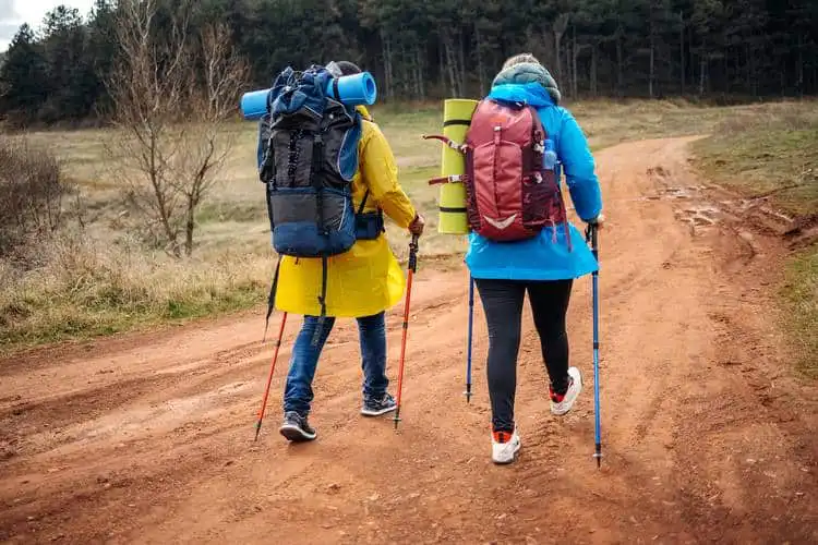 Montanhistas andando na trilha com mochilas nas costas. 