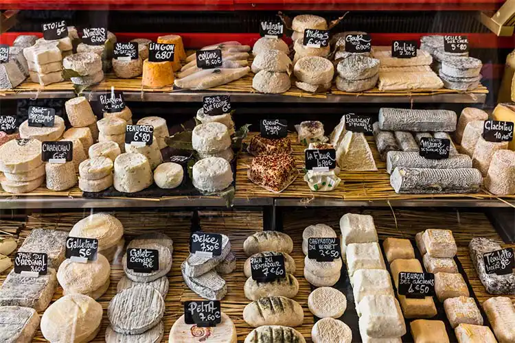 variedade de queijos na mesa francesa