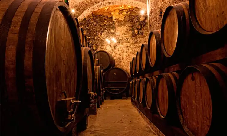 vinho do porto vinhos portugueses de luxo