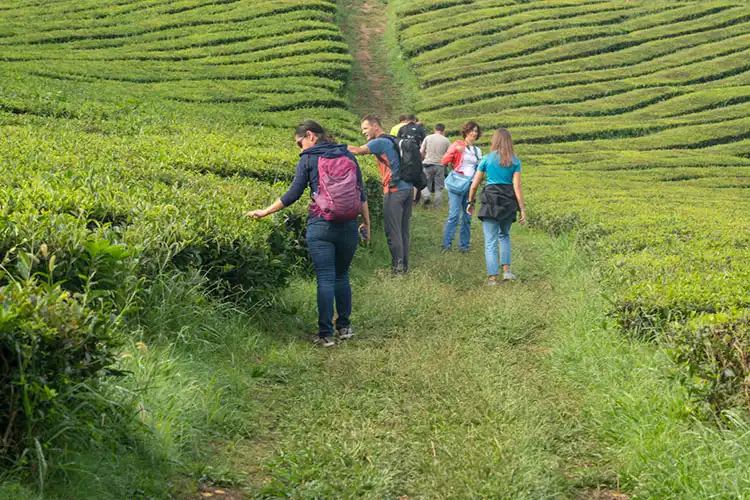 Pessoas fazendo uma caminhada nos Açores