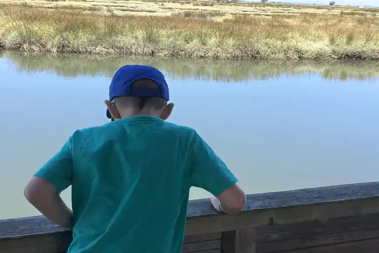 Menino de costas observa a Ria de Aveiro.