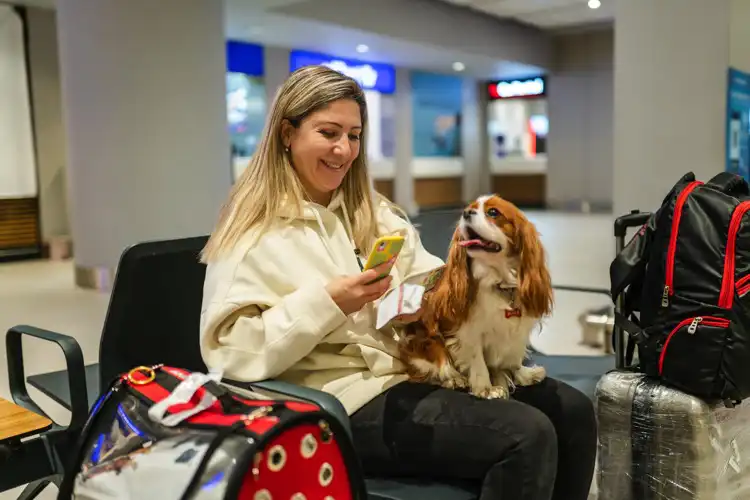 Mulher com seu cachorro no aeroporto