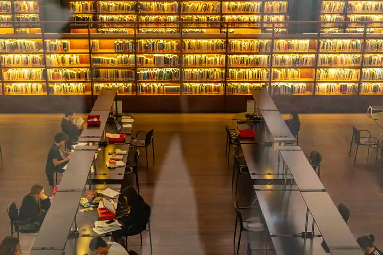 Biblioteca do Museu Reina Sofia