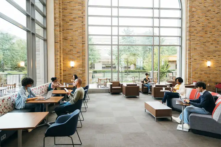 Estudantes de pós-graduação reunidos para trabalho em grupo