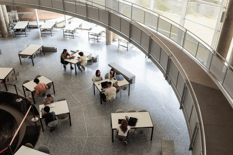 Estudantes na biblioteca de uma universidade.