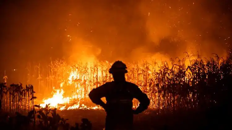 Incêndios em várias regiões de Portugal