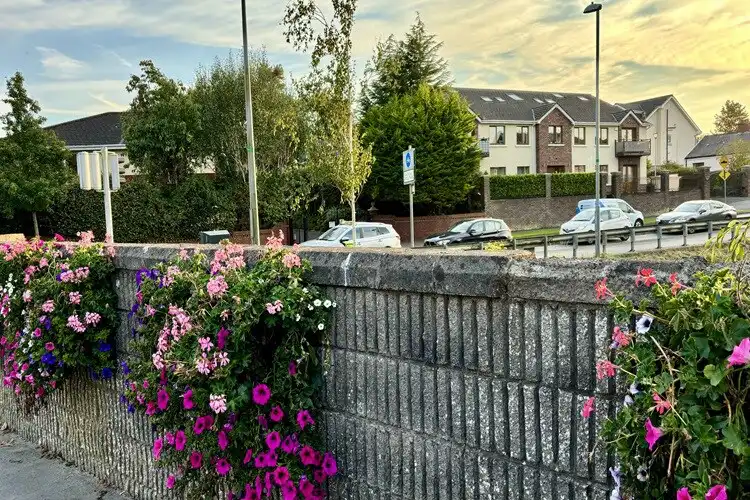 Flores na primavera na Irlanda