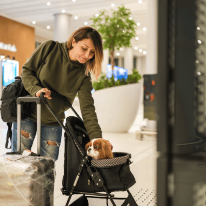 Um passo de como levar cachorro no avião é reservar a passagem com antecedência.