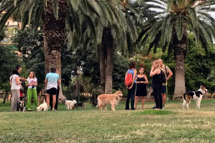 Ter pet na Espanha é comum, basta dar uma volta no parque para vê-los.