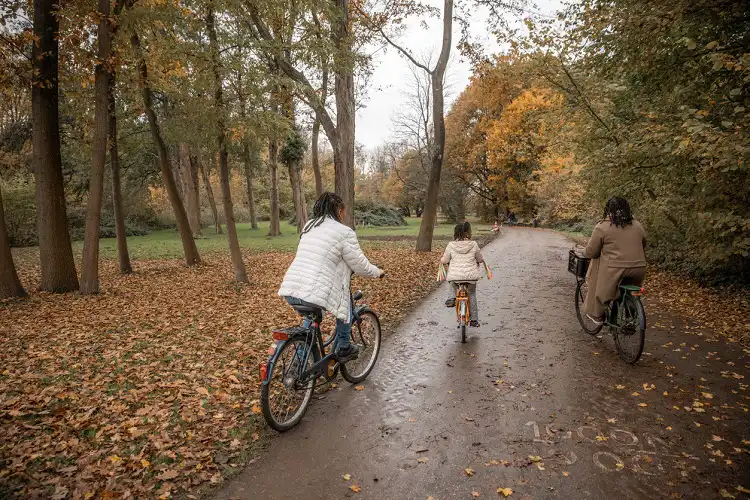 Família andando de bicicleta em floresta.