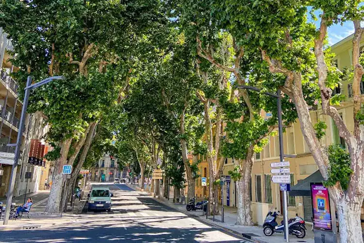 Rua arborizada no Centro Histórico de Aix-en-Provence