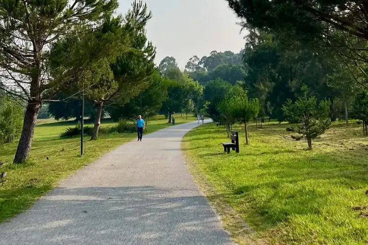 Homem caminha em parque