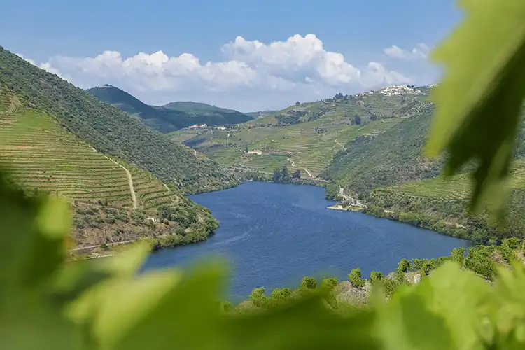 Vale do Douro