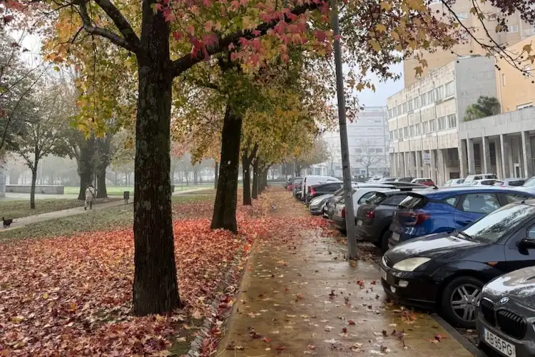 O clima após a mudança de país pode alterar a rotina