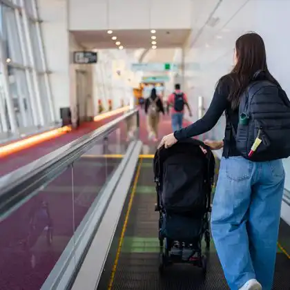 Decidir voltar para o Brasil não é fracasso
