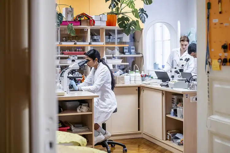 Jovens estudantes de medicina em laboratório de pesquisa da universidade