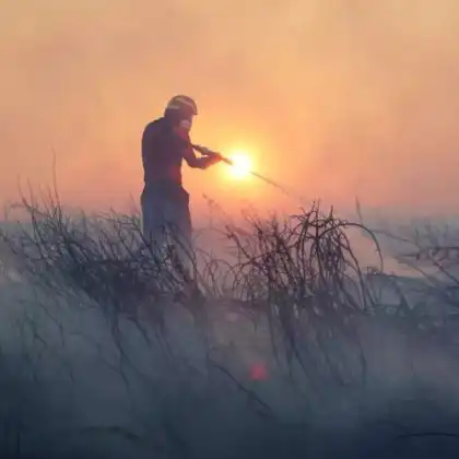 Incêndios em Portugal e Espanha em 2025