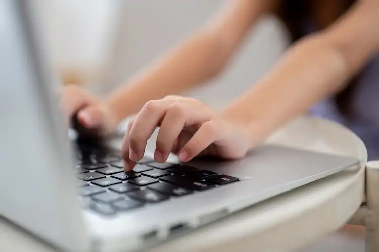 Pessoa usando um notebook para pesquisar sobre Wise e Remessa Online