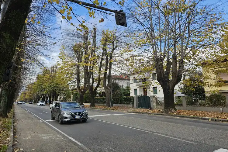 Carros percorrem rua larga e arborizada na Itália.