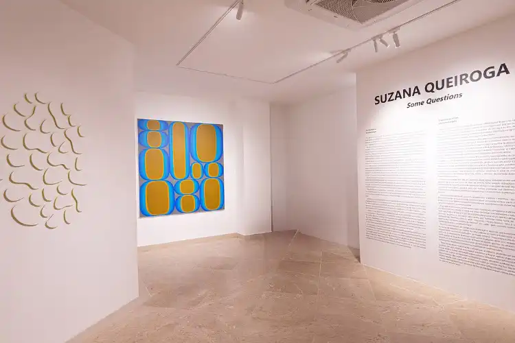 Some Questions Suzana Queiroga