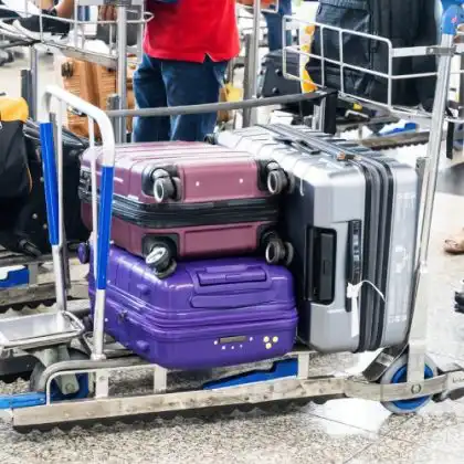 Pesquisa revela desejo de emigrar dos brasileiros