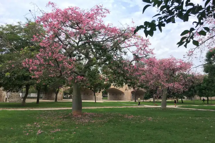 Jardins do Turia em Valência