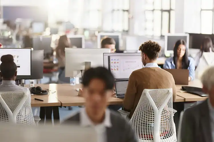 Grupo de programadores trabalhando em escritório
