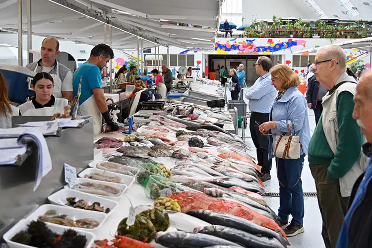 Mercado municipal de Matosinhos, Portugal