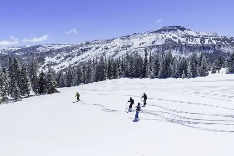 Grupo pratica esqui em área montanhosa coberta de neve durante viagem.
